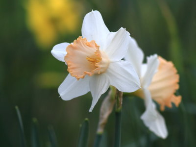 2011_04_30_00859.JPG