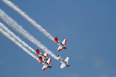 IMG_4769.JPG