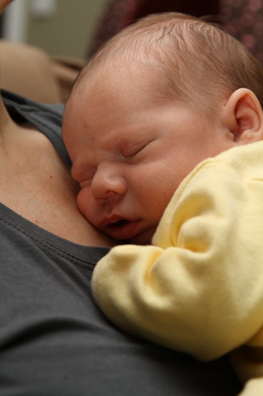 2011-02-17 Noah_P003.jpg