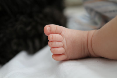 2011-02-21 Noah_P029.jpg