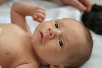 2011-02-21 Noah_P034.jpg