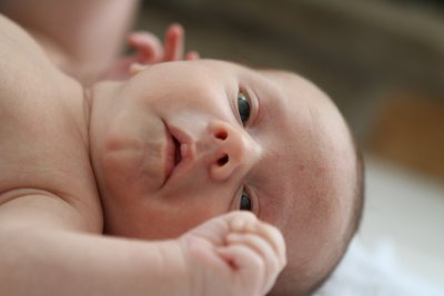 2011-02-21 Noah_P047.jpg
