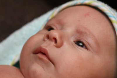 2011-04-14 Little Feet and Hands_P001.jpg