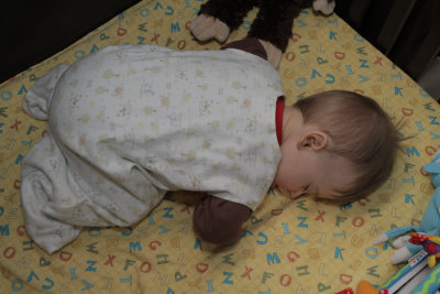 2012-02-22 Sleeping Beauty_P001.jpg