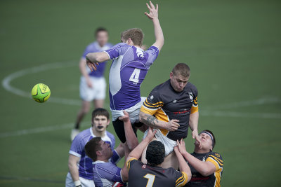 line-out1.jpg