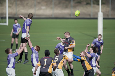 line-out2.jpg