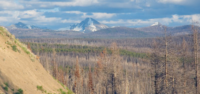 Tetons from NNE.jpg