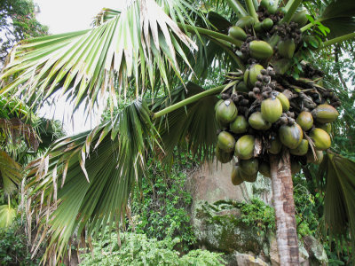 Seychellen - 2007