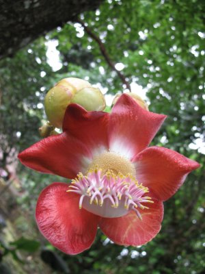 Seychellen - 2007