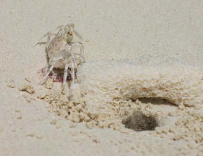 Seychellen - 2007