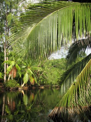 Seychellen - 2007