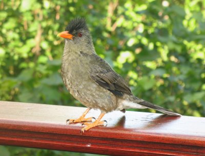 Seychellen - 2007