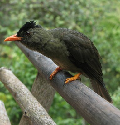 Seychellen - 2007