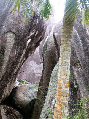 Seychellen - 2007