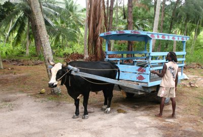 Seychellen - 2007