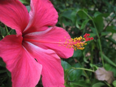 Seychellen - 2007