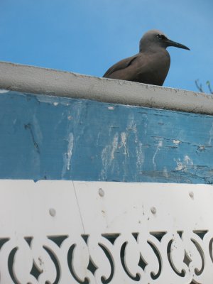 Seychellen - 2007