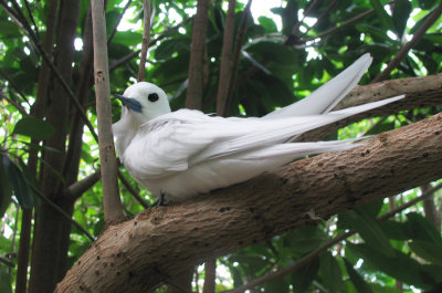 Seychellen - 2007