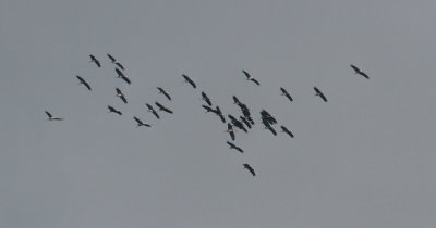 g4/76/961476/3/141922274.gr2ZEJou.jpg