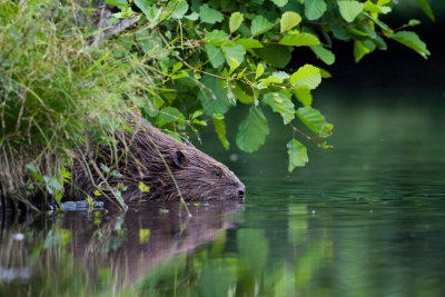 Frankrijk - Ardèche - 2012