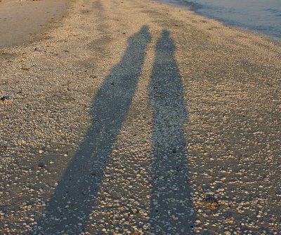 Our shadows on the beach near sunset