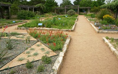 Lady Bird wildflower garden