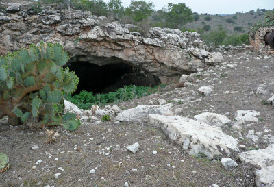 Frio Bat Cave - Concan TX - Quite a sight!!