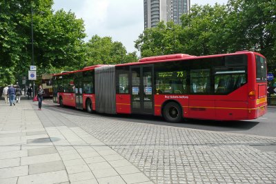 Double buses