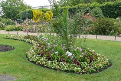 Flower bed -hyde park probably