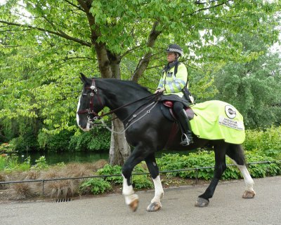 Patrol on horseback