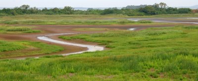 View of Plum Island from Tower 8/21/11
