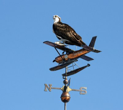 Addition to weather vane at Gramma Dots
