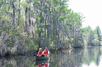 Swamp & boaters