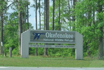 Okefenokee Swamp, GA