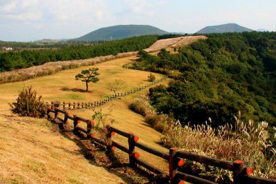 Field by Sangumburi crater