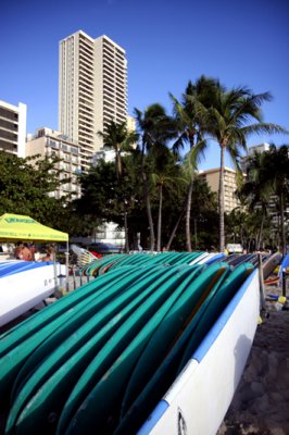 Surf culture