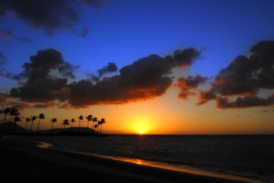Aloha!