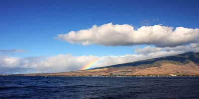 Rainbow over Maui