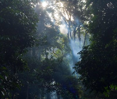 After rain comes sun