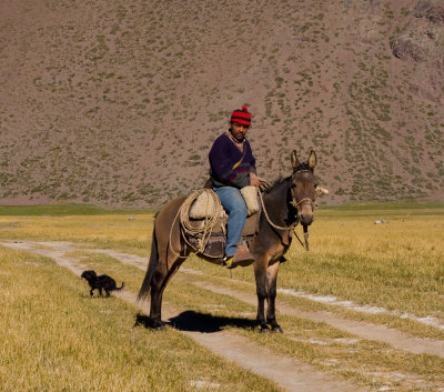 Farmer in the Southern Andes