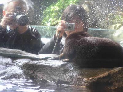 Seattle Aquarium