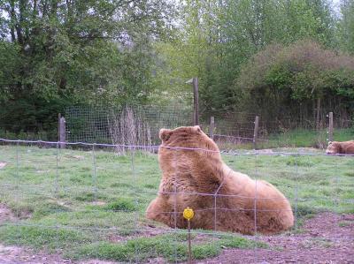 and this guy sitting in a hole