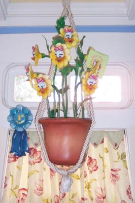 Daisies.jpg