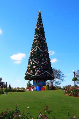HubXmasTree.jpg