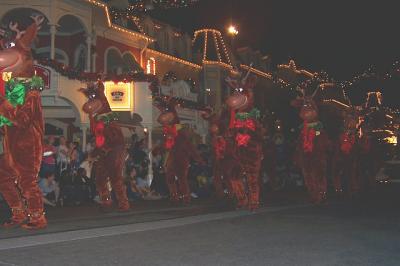 Reindeer.jpg