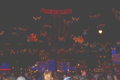 OsborneLights5.jpg