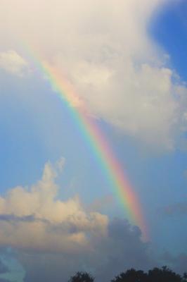 MiamiRainbow1.jpg