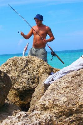 MiamiFishermanBarracuda.jpg