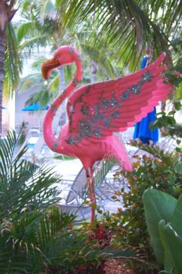 MiamiSouthBeachFlamingo.jpg