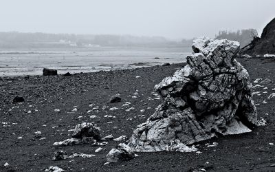 Bramber Shore - Bay of Fundy